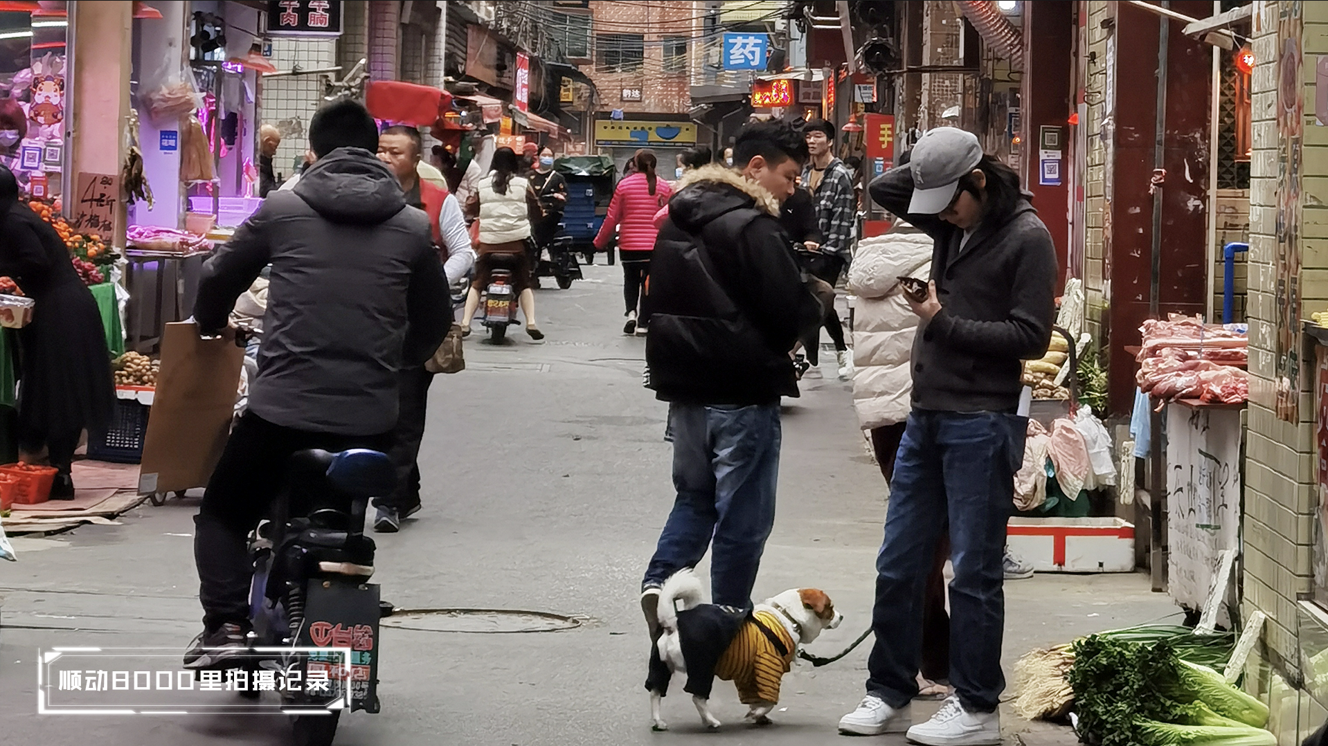 呼倫貝爾大草原VS南方以南濱海公園